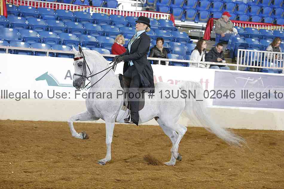Proof 13usn_02646