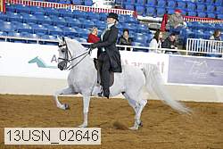13usn_02646 proof