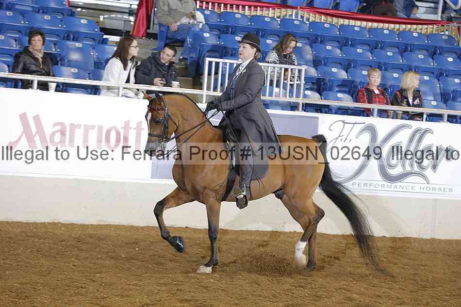 Proof 13usn_02649