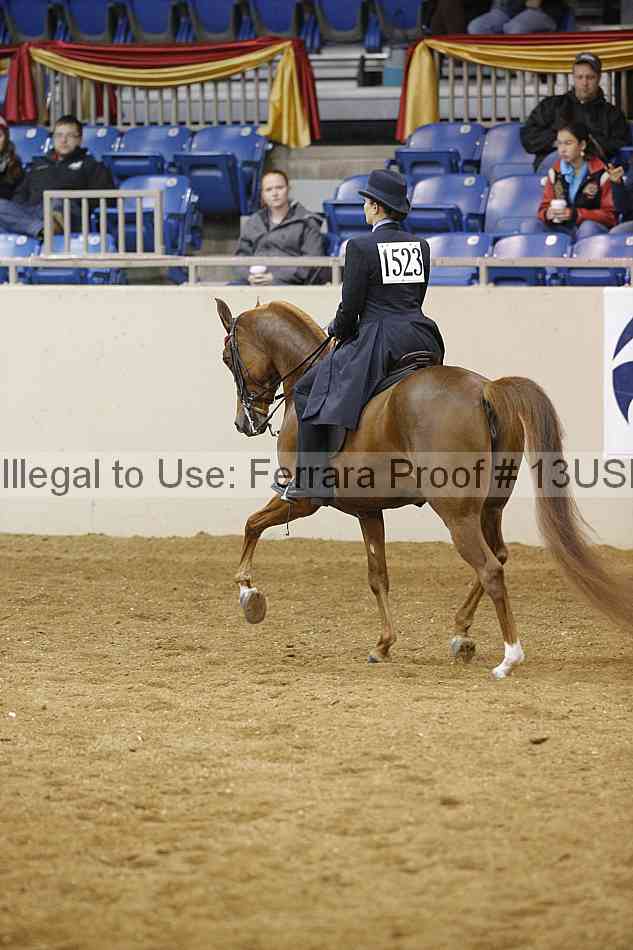 Proof 13usn_02650