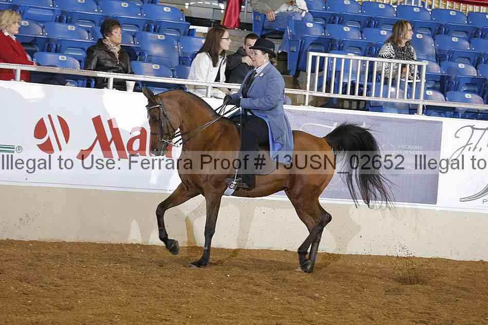 Proof 13usn_02652