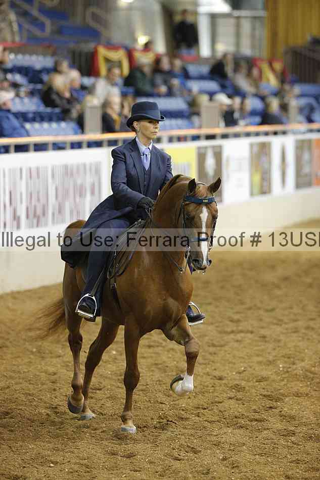 Proof 13usn_02654