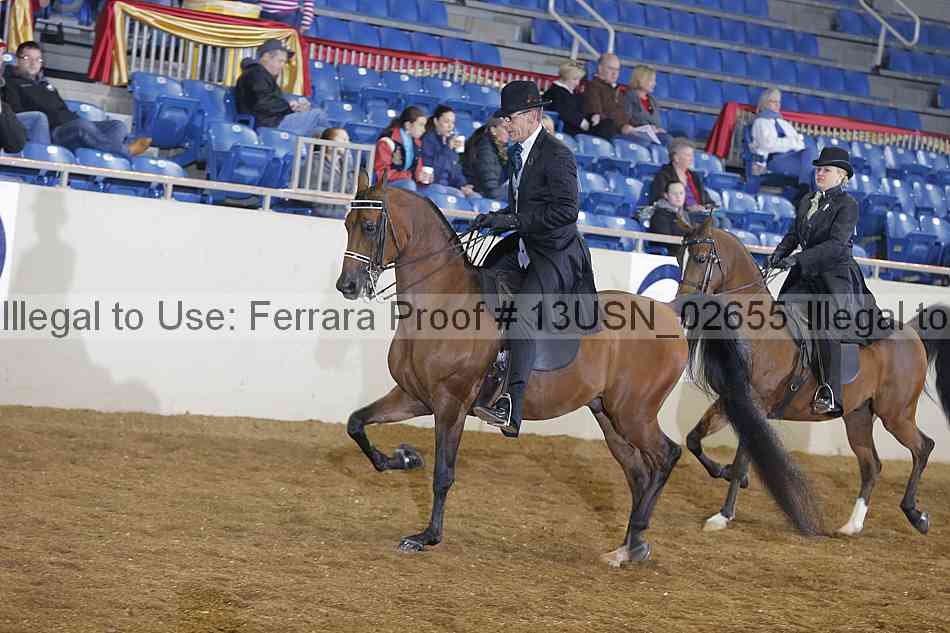 Proof 13usn_02655