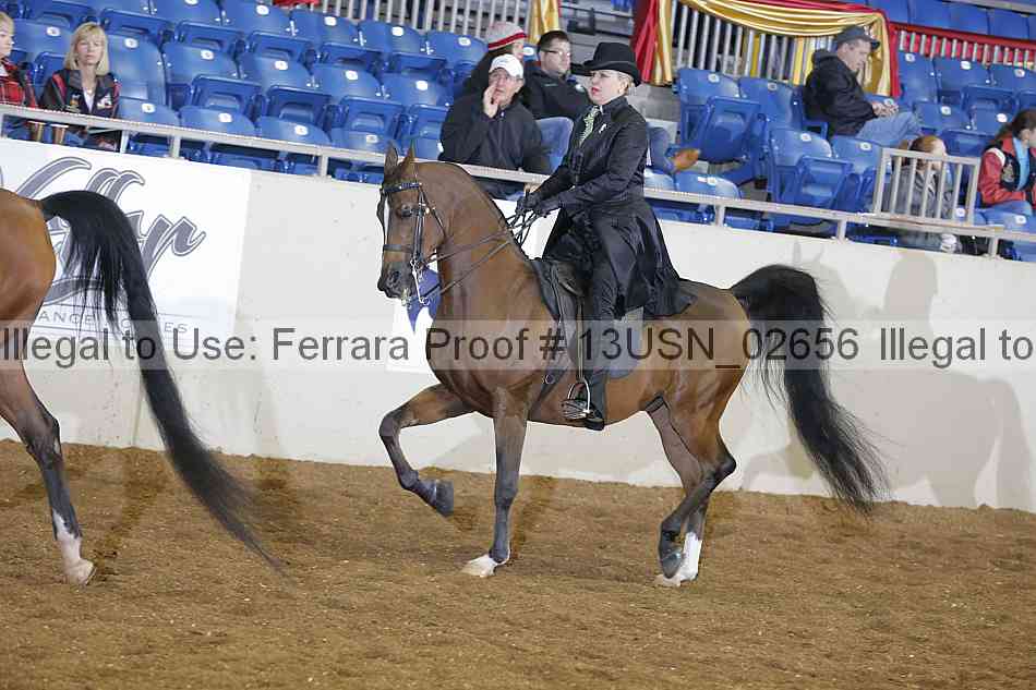 Proof 13usn_02656