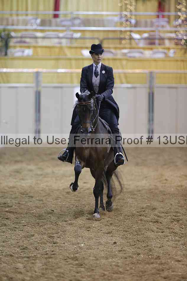 Proof 13usn_02657