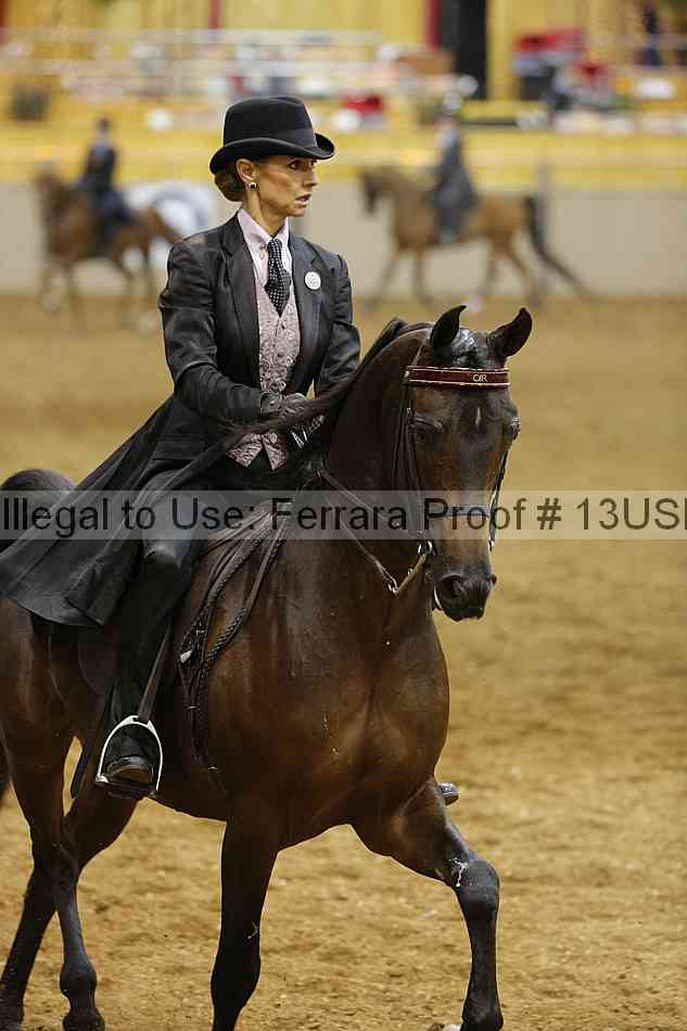 Proof 13usn_02660