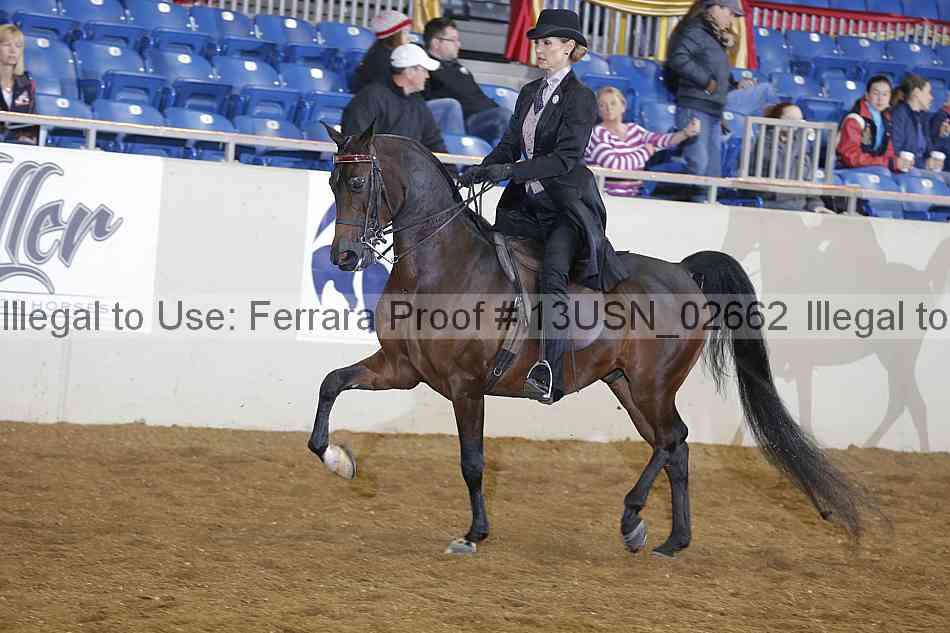Proof 13usn_02662