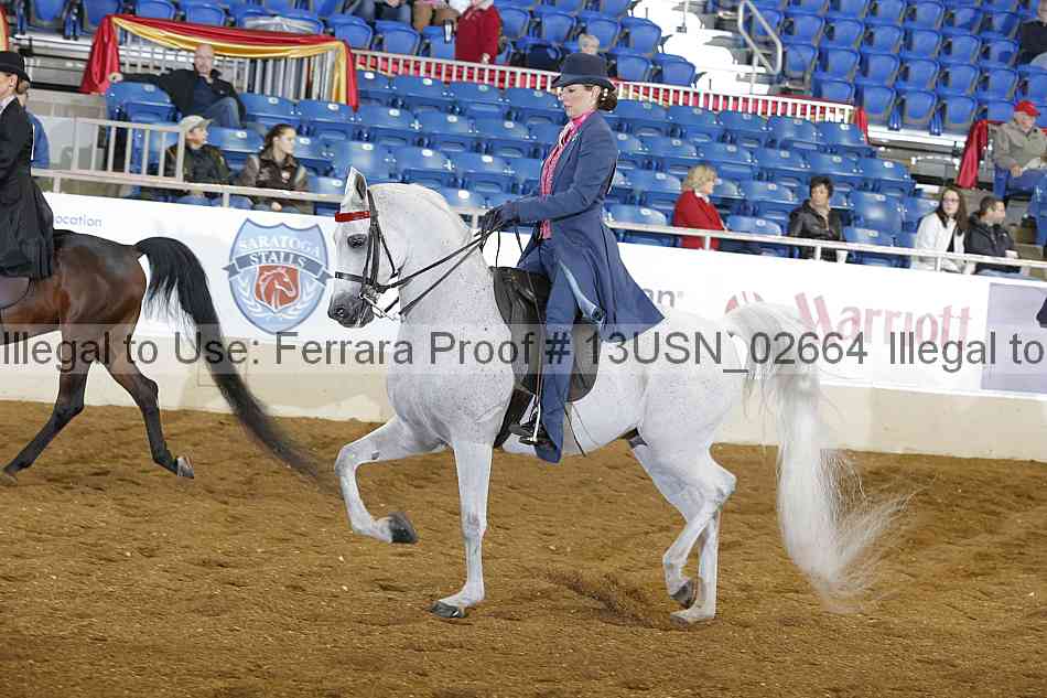 Proof 13usn_02664