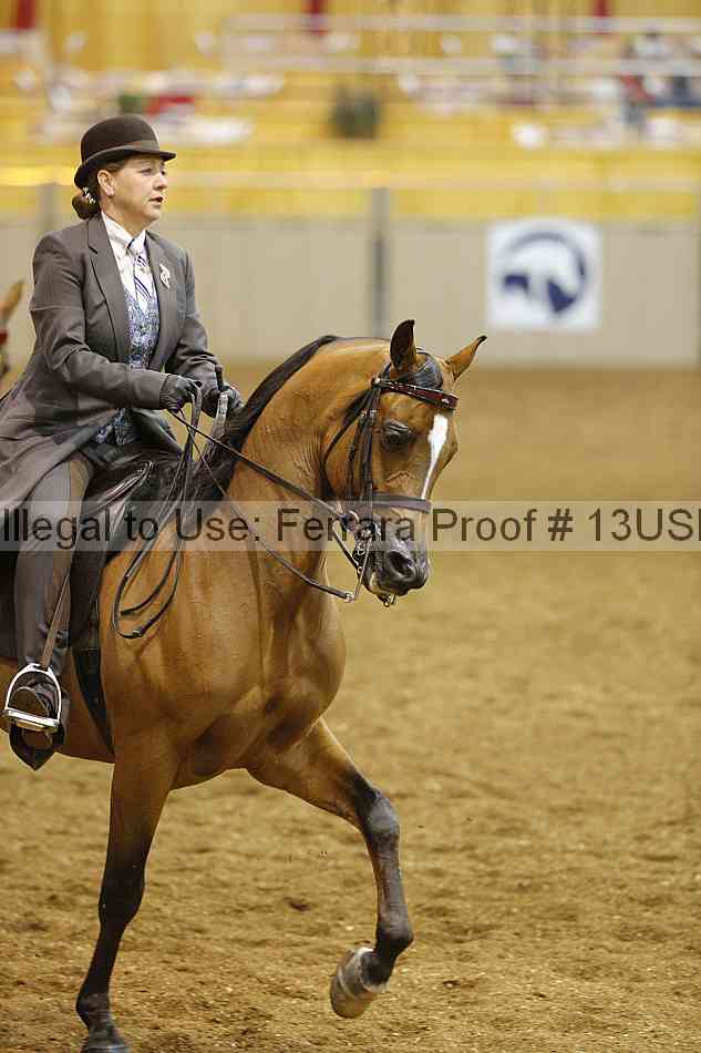 Proof 13usn_02665