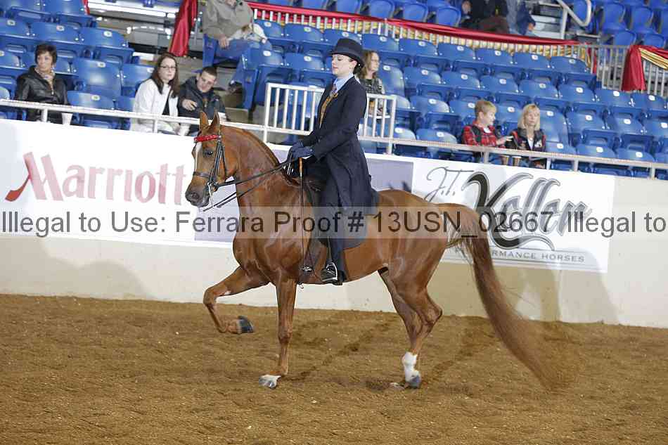 Proof 13usn_02667
