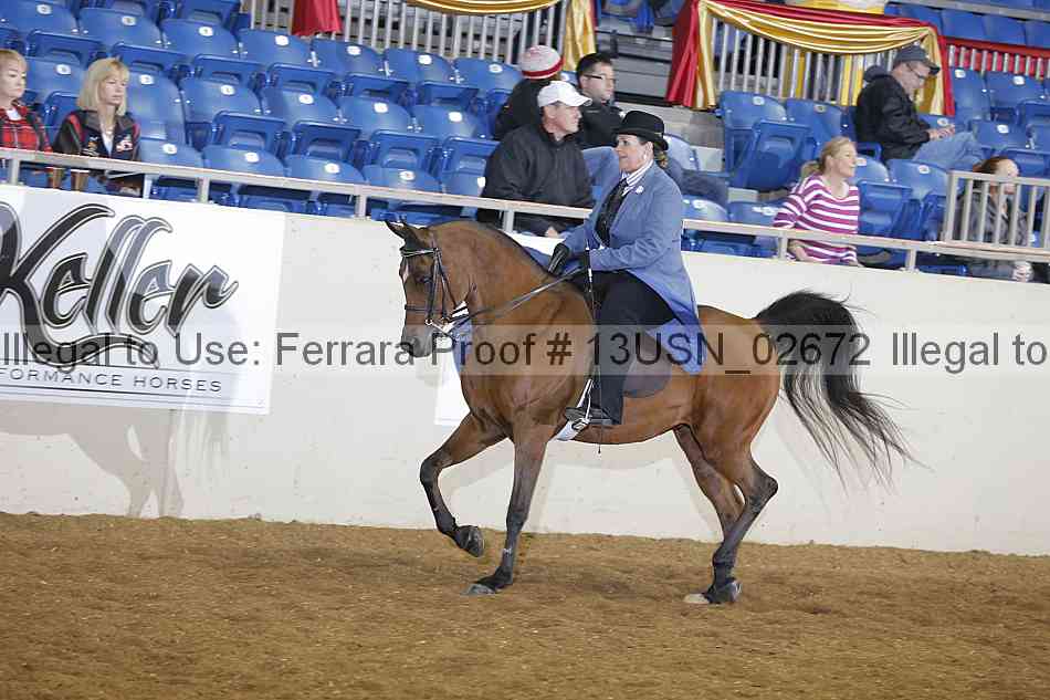 Proof 13usn_02672