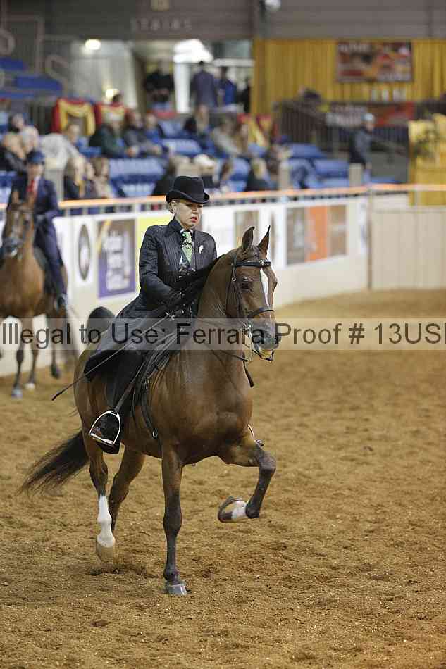 Proof 13usn_02675