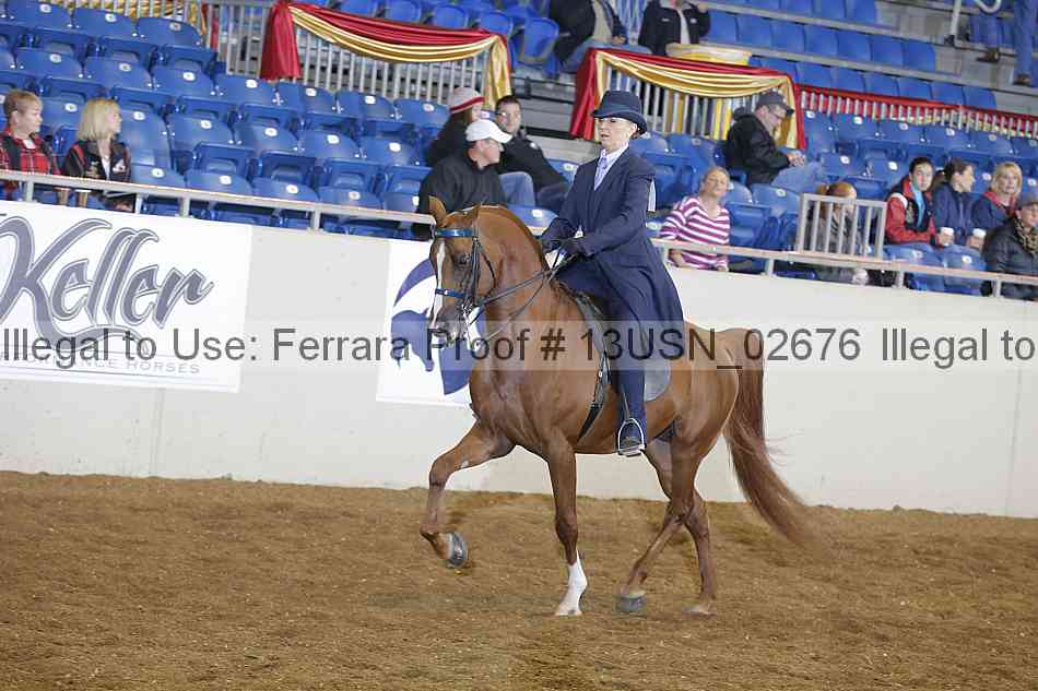 Proof 13usn_02676