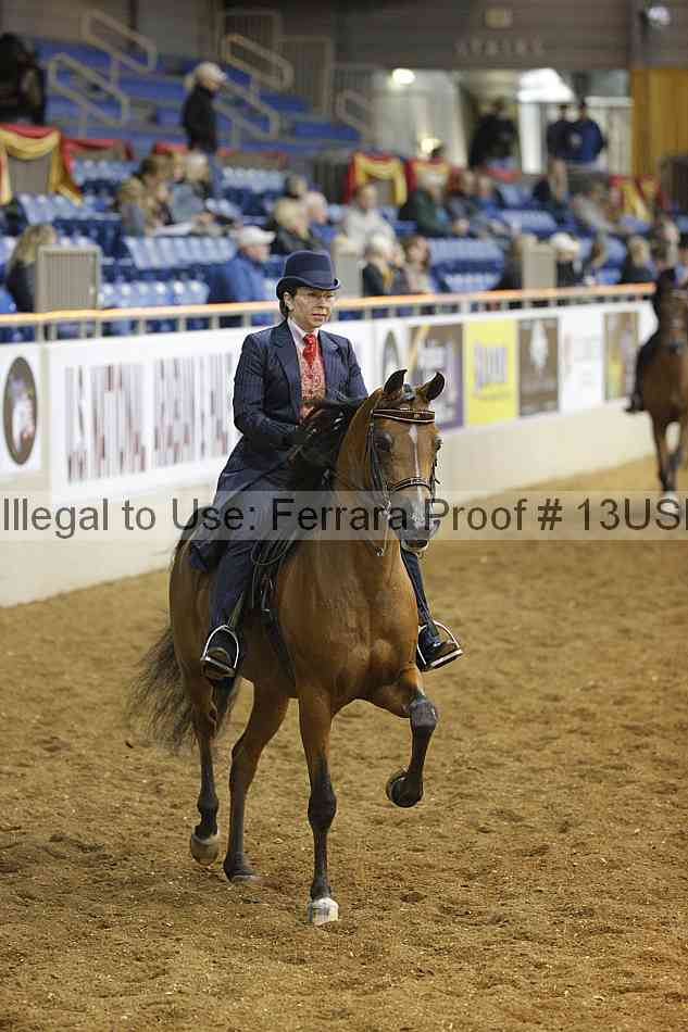 Proof 13usn_02678