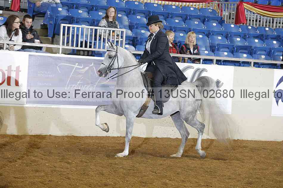 Proof 13usn_02680