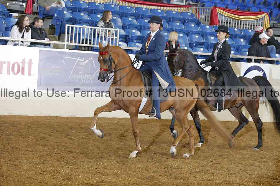 Proof 13usn_02684
