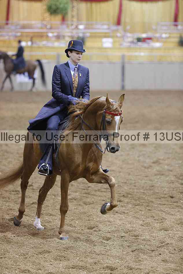 Proof 13usn_02685