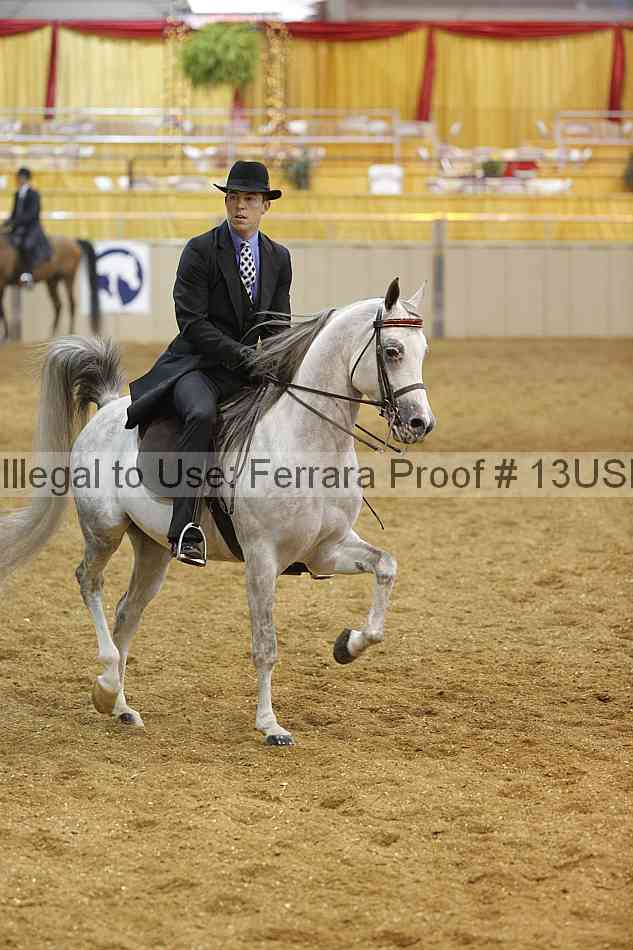 Proof 13usn_02686