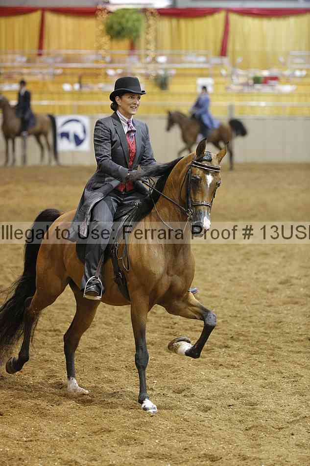Proof 13usn_02687