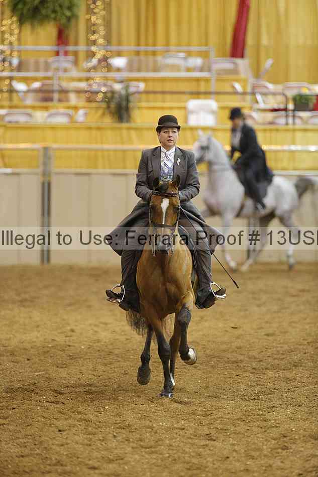 Proof 13usn_02693
