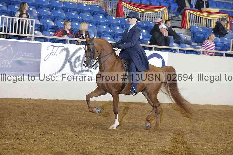 Proof 13usn_02694