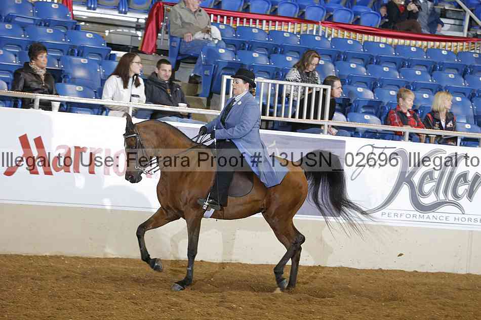 Proof 13usn_02696