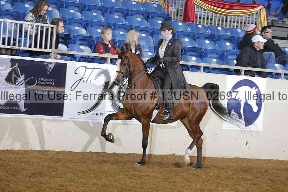 Proof 13usn_02697