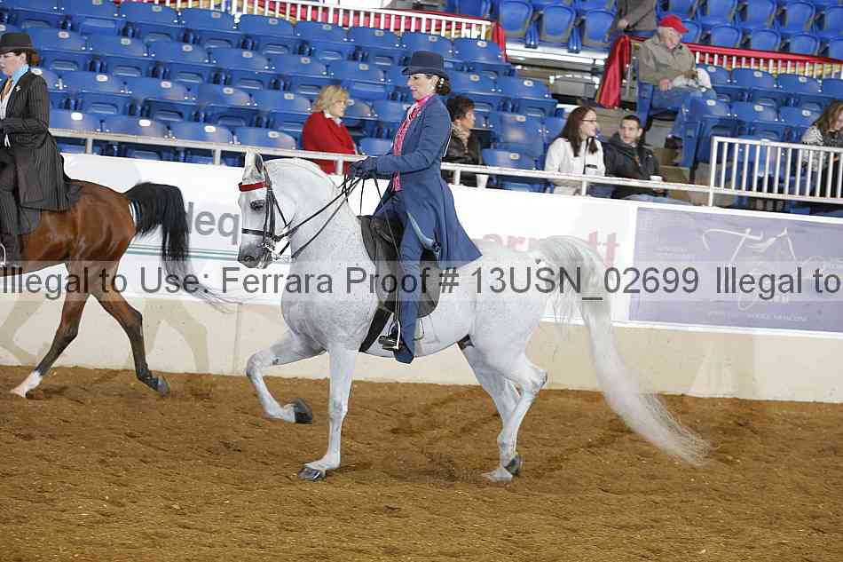 Proof 13usn_02699