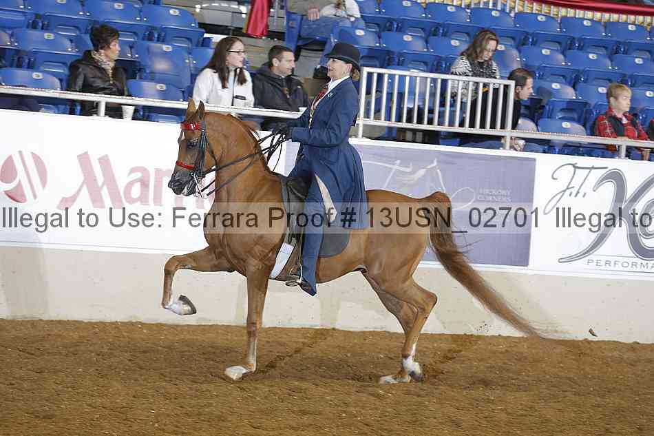 Proof 13usn_02701