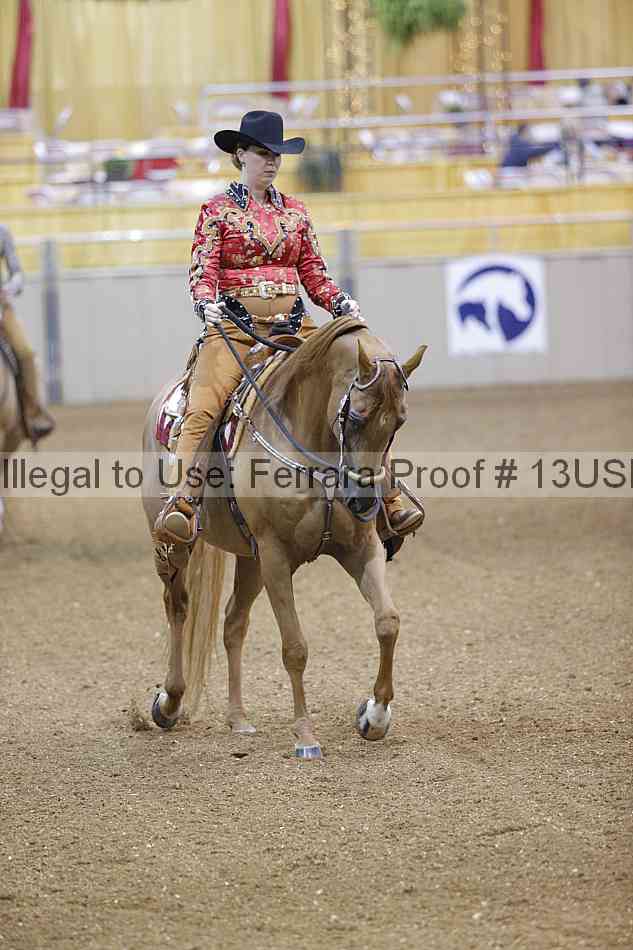 Proof 13usn_02480
