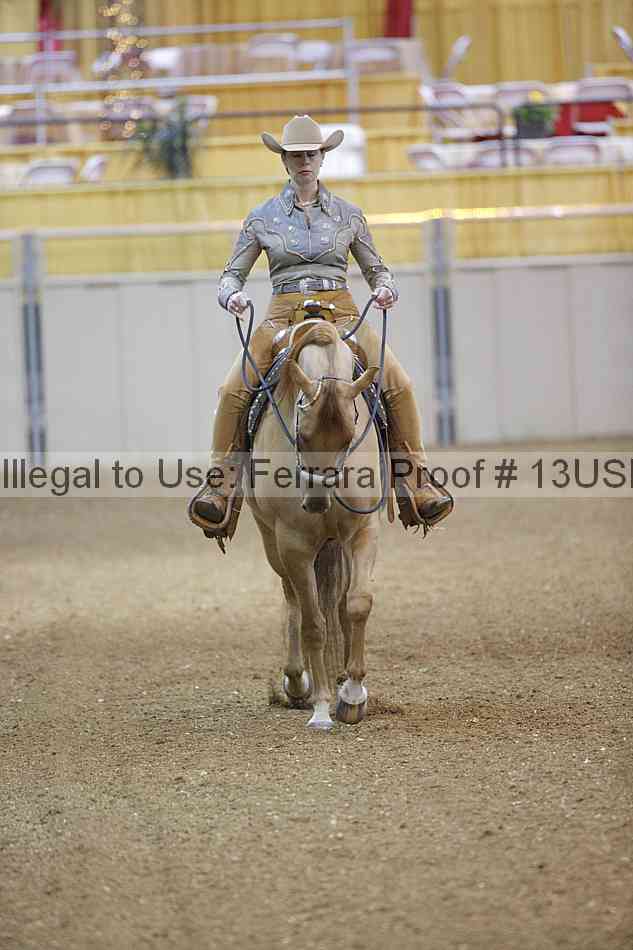 Proof 13usn_02481