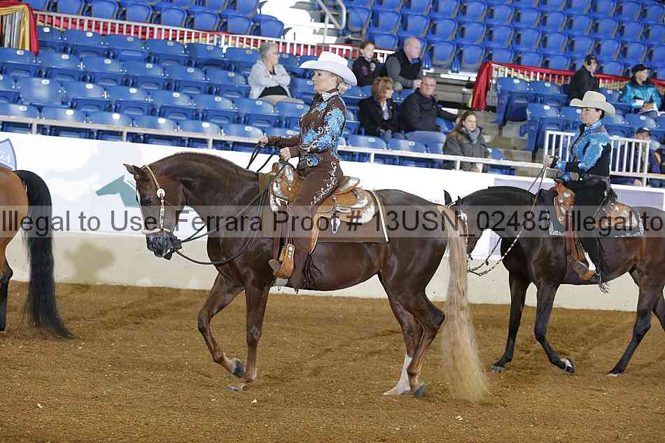 Proof 13usn_02485