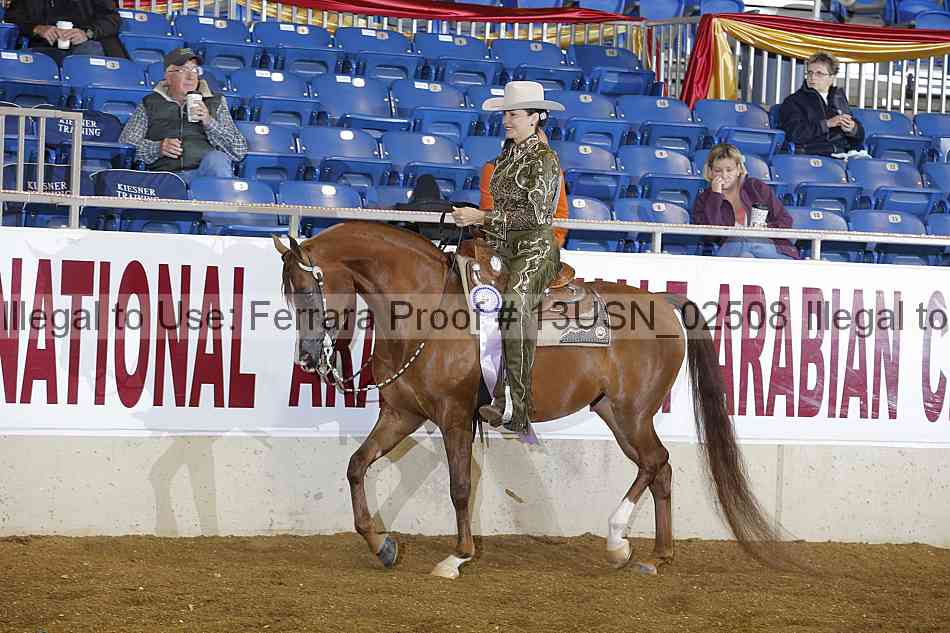 Proof 13usn_02508