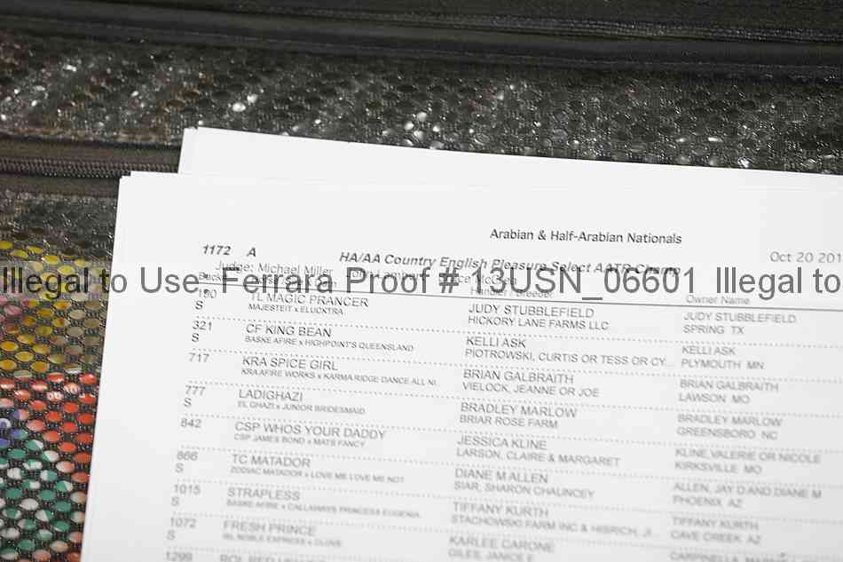 Proof 13usn_06601