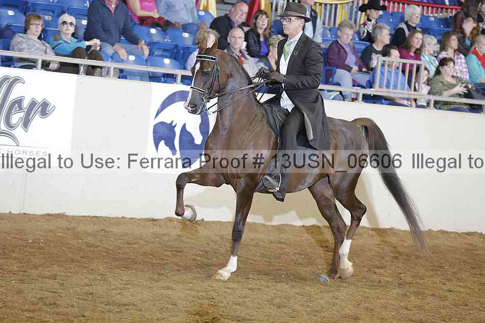 Proof 13usn_06606