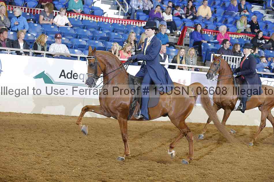 Proof 13usn_06608