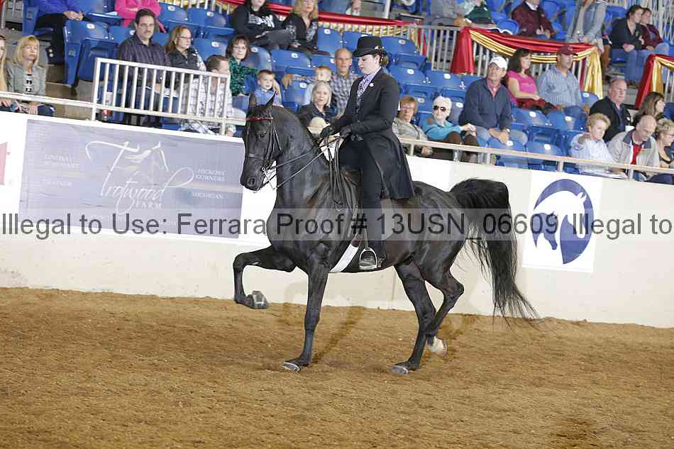 Proof 13usn_06609