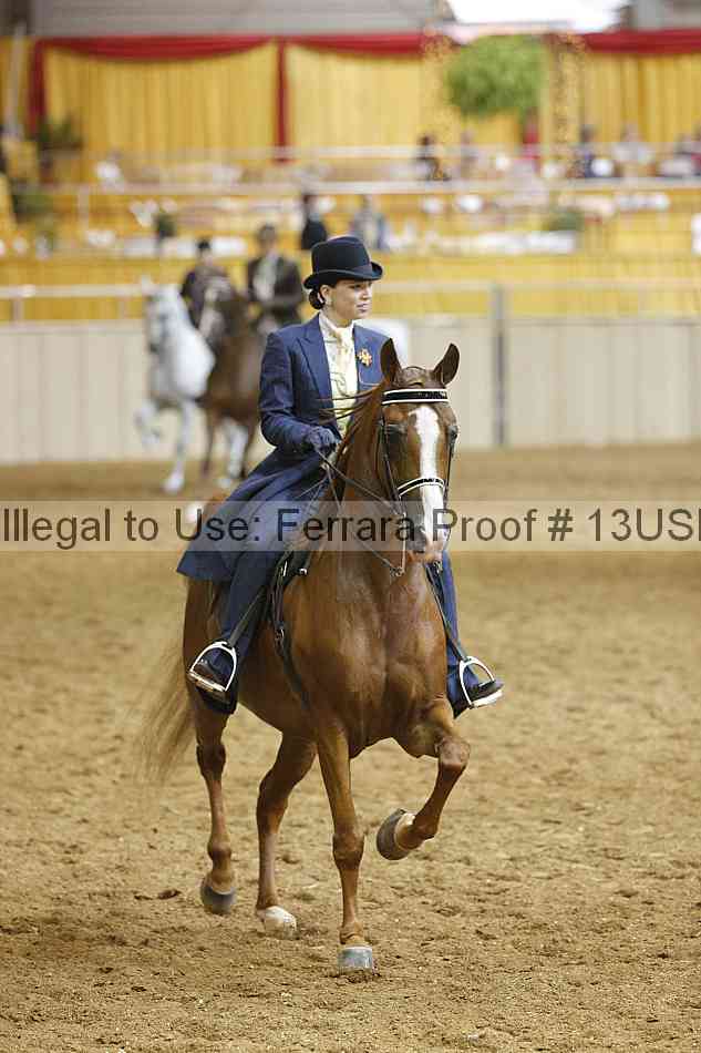 Proof 13usn_06622