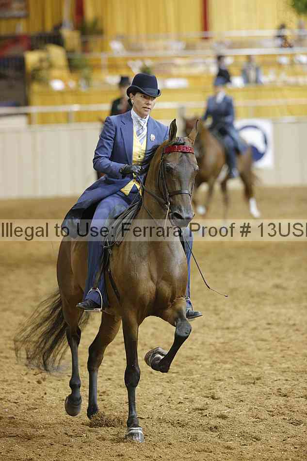 Proof 13usn_06633
