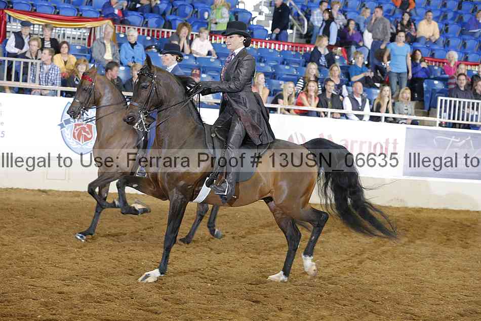 Proof 13usn_06635