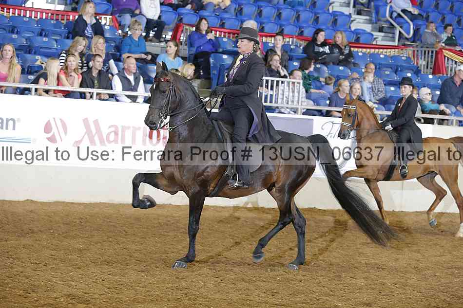 Proof 13usn_06637