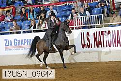 13usn_06644 proof