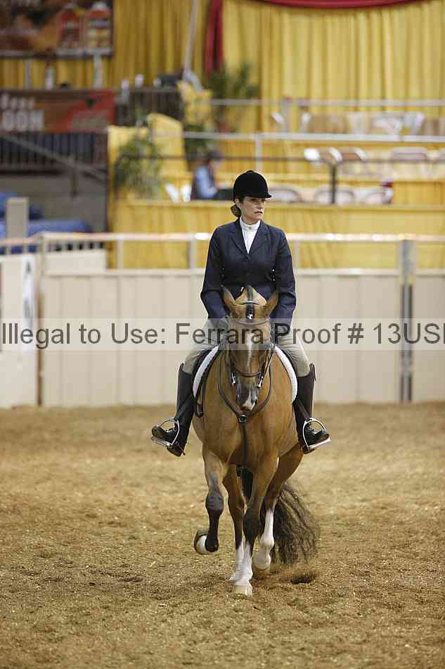 Proof 13usn_17645