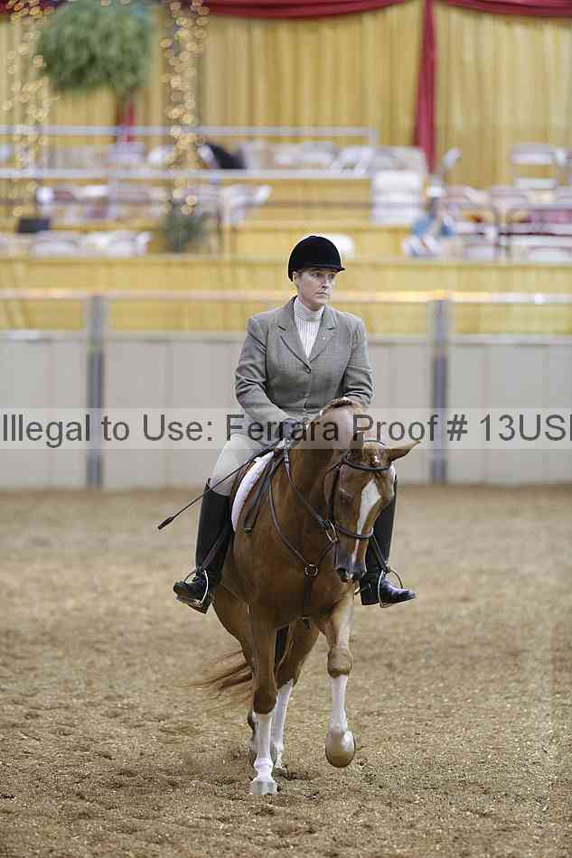 Proof 13usn_17653