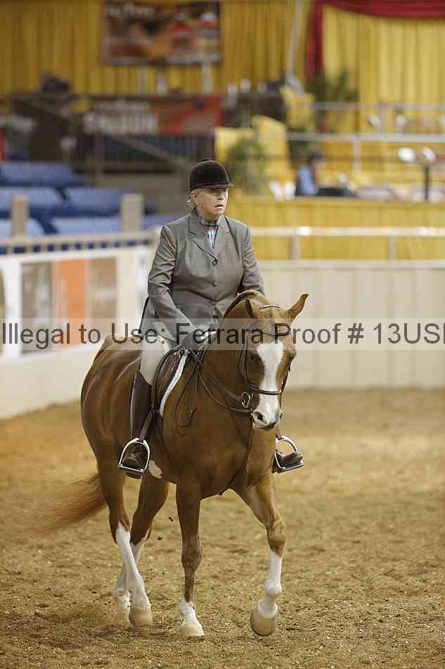 Proof 13usn_17655