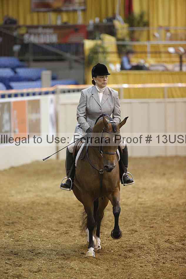 Proof 13usn_17667