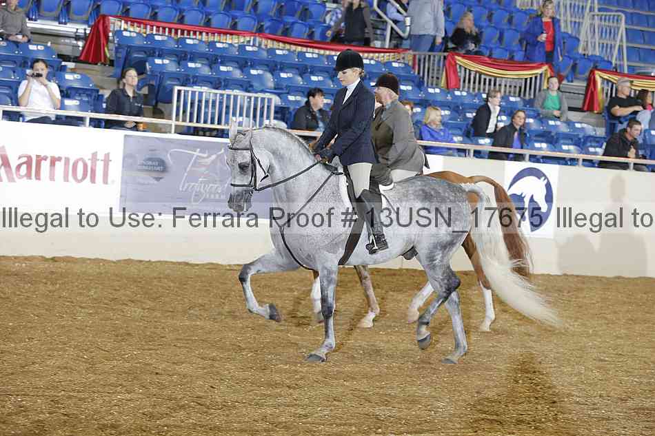 Proof 13usn_17675