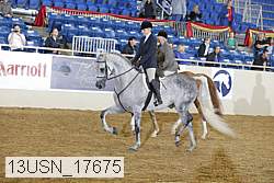 13usn_17675 proof