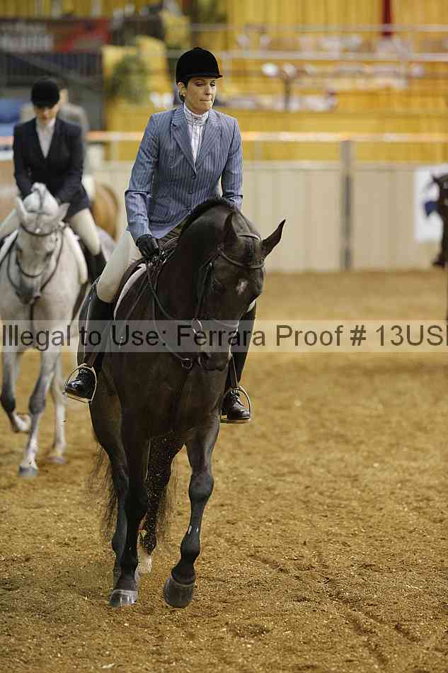 Proof 13usn_17687