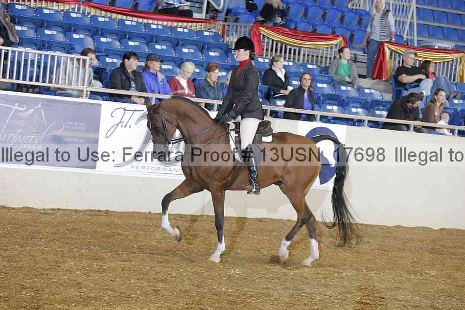 Proof 13usn_17698